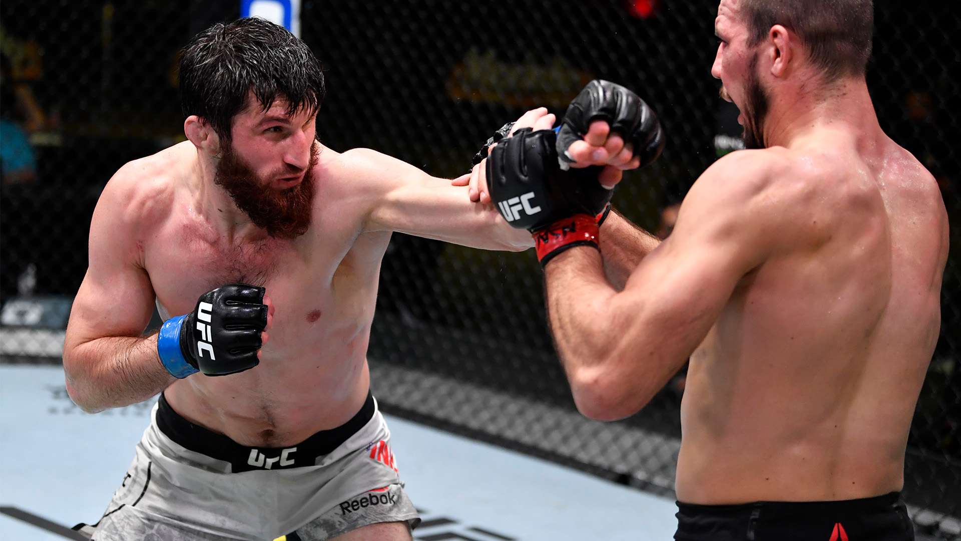 来自于每一 来自于每一